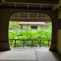 橋本関雪の庭