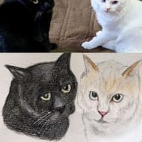 トノとヒメの階段前劇場。　トノヒメを描いてくださいました♪