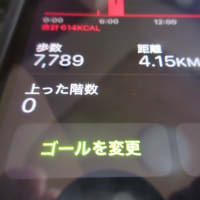 朝ウォーキングの風景。令和7年7月2日。ネコが居ない朝。