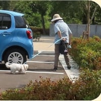  於大公園 ： アリウム・・・熱中症注意の中、昔仲間７名がこのはな館に来ていました。