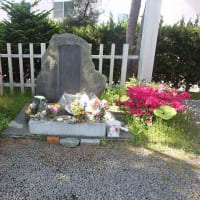 遥遥函館　大森浜から