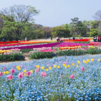 万博記念公園