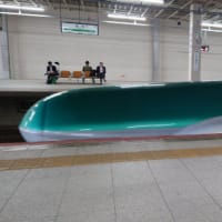 引率の先生になる