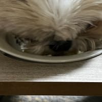 月命日