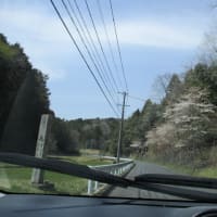 実家の墓参りに連れって頂きました