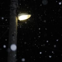 雪の降る夜は・・・・・・・・・・・・・・・・・・・・・。