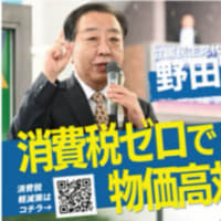 食品の消費税ゼロは物価高対策にならない