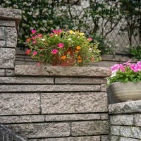 花の植え替え