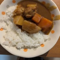 三色丼のお弁当＆旦那が作ってくれた晩御飯