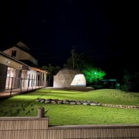 夜の別邸わんこ日和