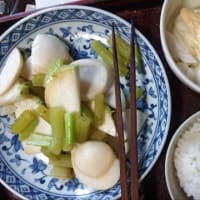 昼食　武蔵野市産ふきとかぶの塩炒め　武蔵野市産新玉ねぎのサラダ