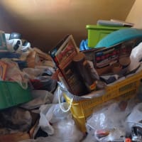 ゴミ屋敷の片付け