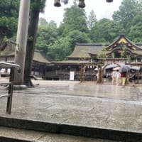 茅の輪くぐり。そして大雨。