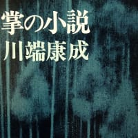 永井荷風 濹東綺譚 あらすじと感想 積ん読の部屋