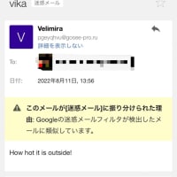47のフィッシングサイトにデタラメなデータを入力すると…