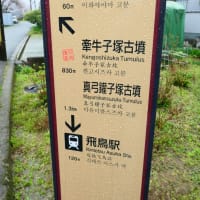 明日香村　岩屋山古墳への訪問記　on　2025-3-28