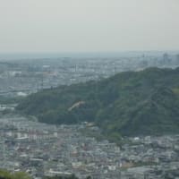 タダオの山日記