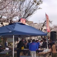 さくら祭り