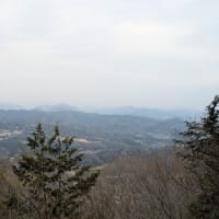 太平山神社と晃石山（栃木市）