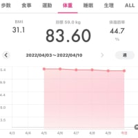３日坊主突破〜