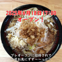 【限界を越えろ上越】ラーメン豚1枚麺300g　全マシ【新潟県上越グルメ】上越スチール販売(株)