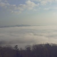 いい朝、美しい霧の海