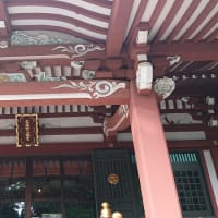 #242 -’24.　吉祥寺の武蔵野八幡宮の秋祭り