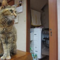 月曜日