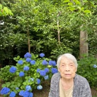 紫陽花ドライブ💠