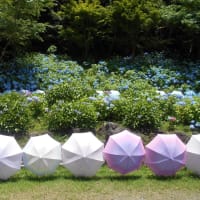袋井市　遠州三山風鈴祭り～法多山に行ったが厄除け氷はないのか？