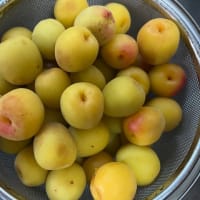 羨ましい皮膚感覚・・・