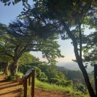 早朝の春日山城登城