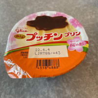 ビッグ　プッチンプリン