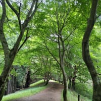 大倉BS～塔ノ岳～大倉BS