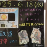 シオカラトンボ・カップルです。
