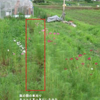 2013.7.24保津