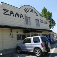 伝統ある名門の「座間近代乗馬クラブ」訪撮！！