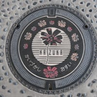 大阪府のマンホール