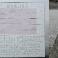 梅雨時期の楽しみ♪