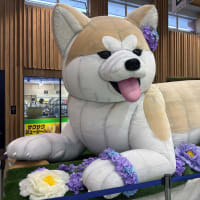 東京はパンダ　こまちで帰ります