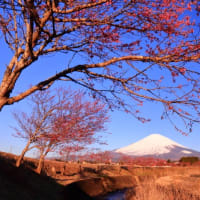 富士山　「天気晴朗なれど...   」風なき... 技のなさが...  "(-""-)"