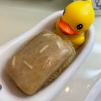 🌞日記🌞　石鹼にお顔が！