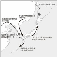 橘玲/篠田謙一  ゲノム解析で迫る日本人の由来の新説