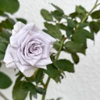 ブルー。