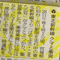 クマちゃんはどうなったんだよー！