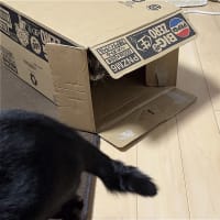 続・わくわくｗ