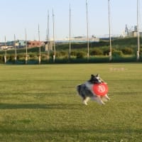 前回に引き続き　過去のお話