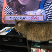 なぜそんなところで‼️