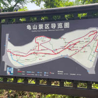 武漢長江大橋と亀山風景区