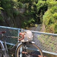 ６月のランドナー